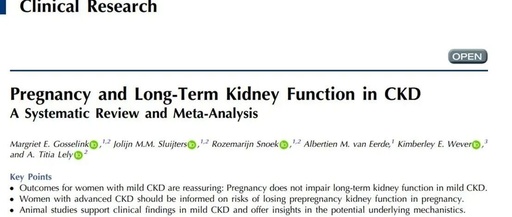 Pregnancy and Long-Term Kidney Function in CKD: A Systematic Review and Meta-Analysis