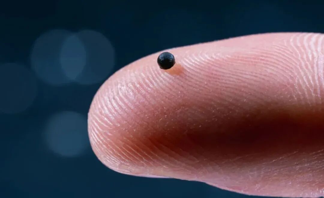 Breakthrough: Scientists Create Microrobots for Precise Drug Delivery Inside the Body, Ready for Human Clinical Trials