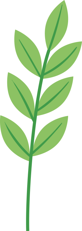 Embedded Services: Xinghe Community Work Report for November