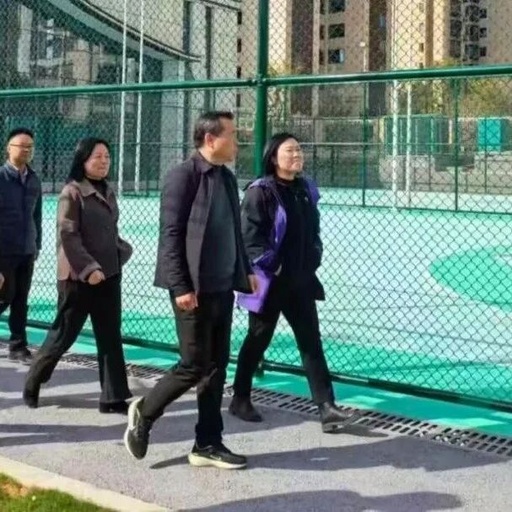 Mei Qinggui Conducts In-Depth Research on the Construction Site of the Embedded Sports Hall Project in Nanchang City