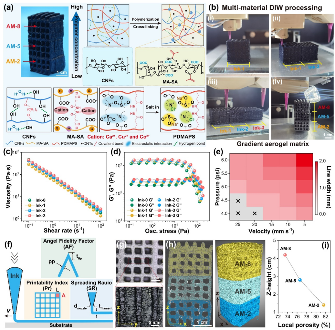 Professor Xu Xiaofeng from Ocean University of China: Achieving Solar Energy Coupling and Resource Utilization of Saline Water through Multi-Material 3D Printing