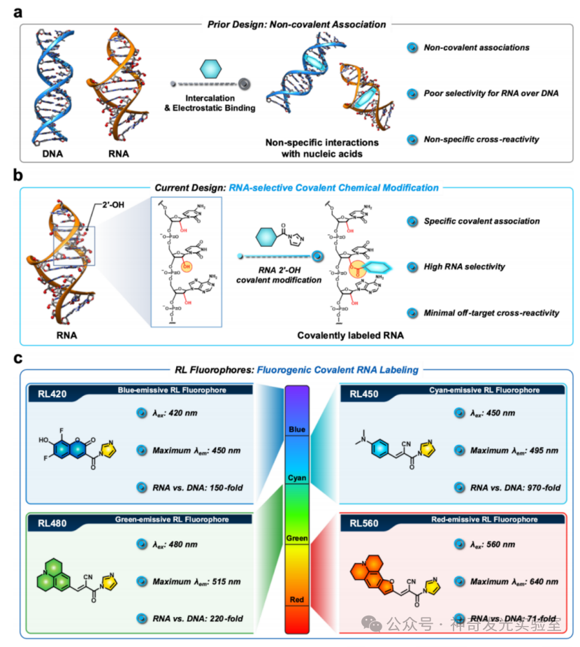 Fluorogenic Covalent Probes for RNA