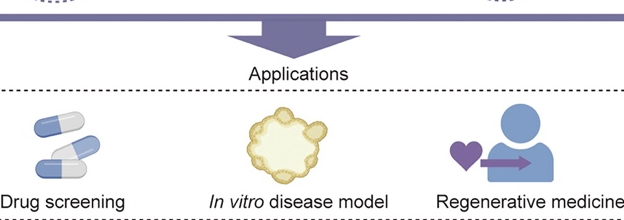 What Exactly is Biological 3D Printing?