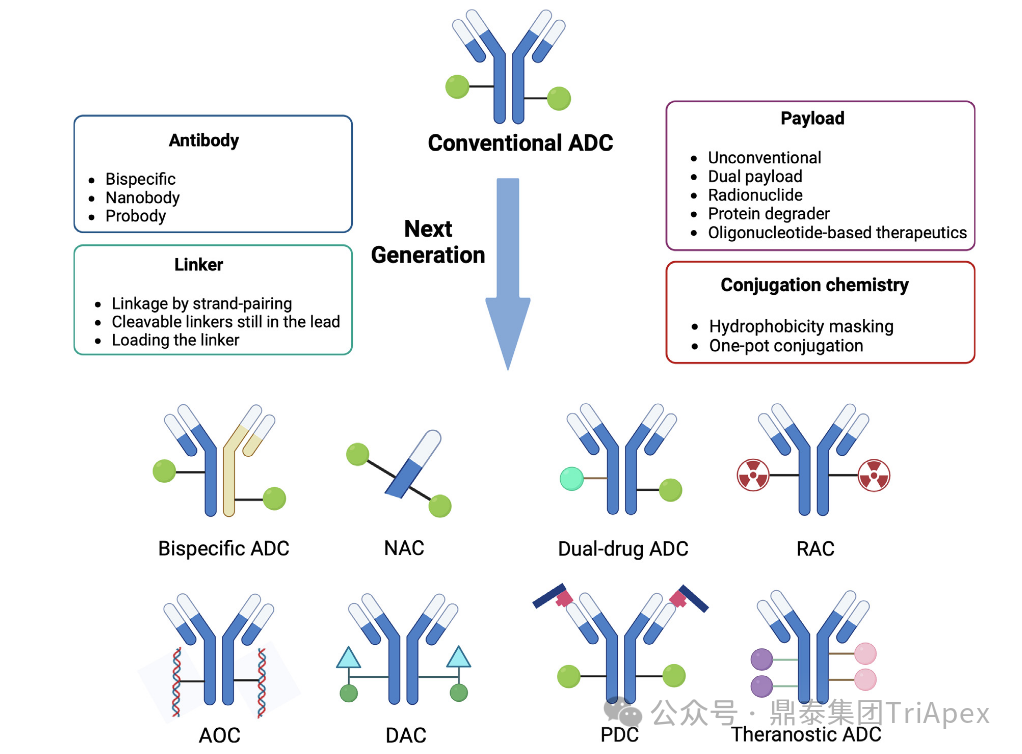 From Single Target to Multidimensional Breakthrough: The New Landscape and Strategic Evolution of Next-Generation ADC Drug Bioanalysis