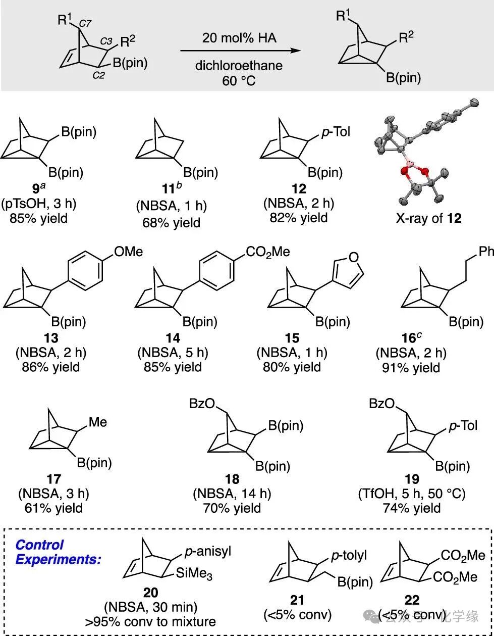 Polycyclic Scaffolds through the Intermediacy of Boron-Stabilized Nonclassical Carbocations