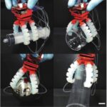 Overview of Recent Advances in Underwater Flexible Sensors