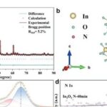 Nitrogen-Doped Indium Oxide Electrochemical Sensors for Stable and Selective Detection of Nitrogen Dioxide