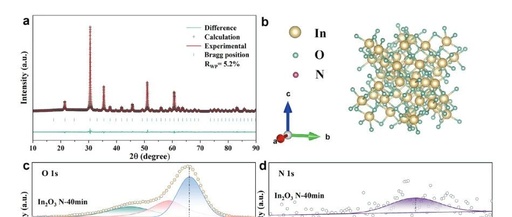 Nitrogen-Doped Indium Oxide Electrochemical Sensors for Stable and Selective Detection of Nitrogen Dioxide