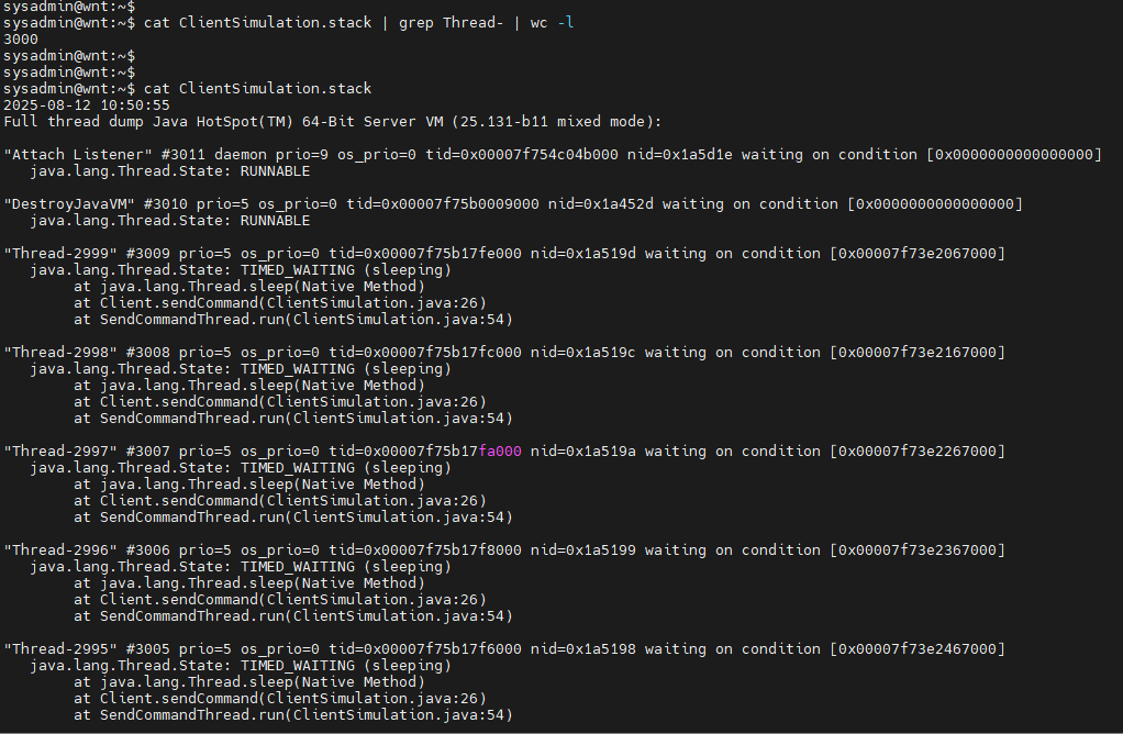 Hardcore Insights: CPU Performance Optimization Practices for Java on Linux