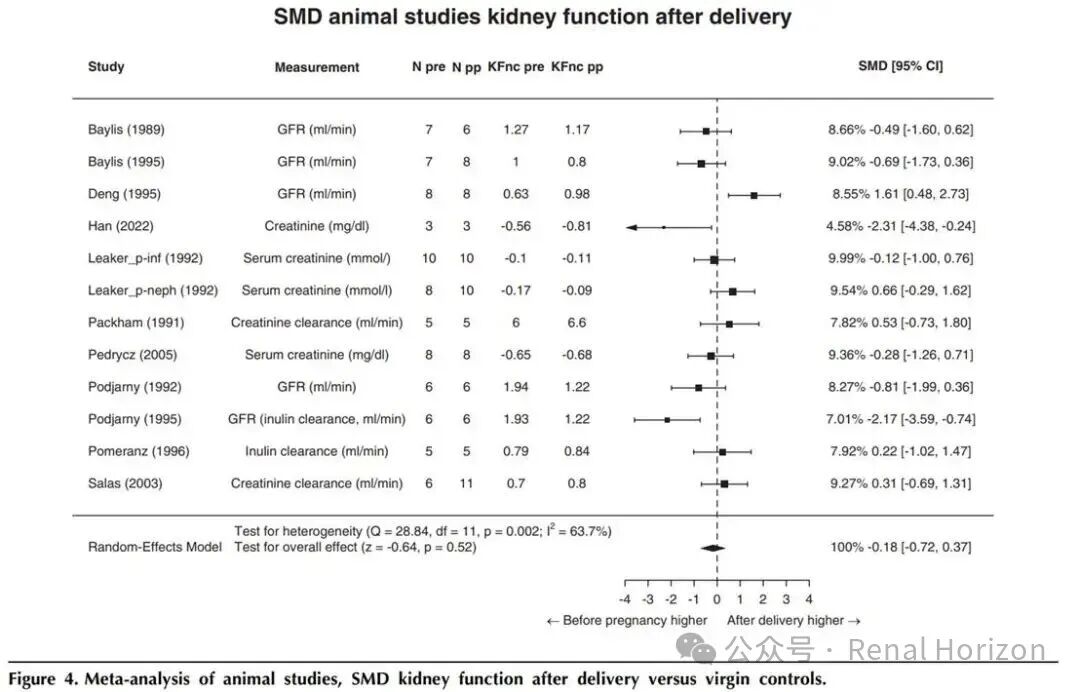 Pregnancy and Long-Term Kidney Function in CKD: A Systematic Review and Meta-Analysis