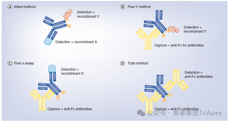 From Single Target to Multidimensional Breakthrough: The New Landscape and Strategic Evolution of Next-Generation ADC Drug Bioanalysis