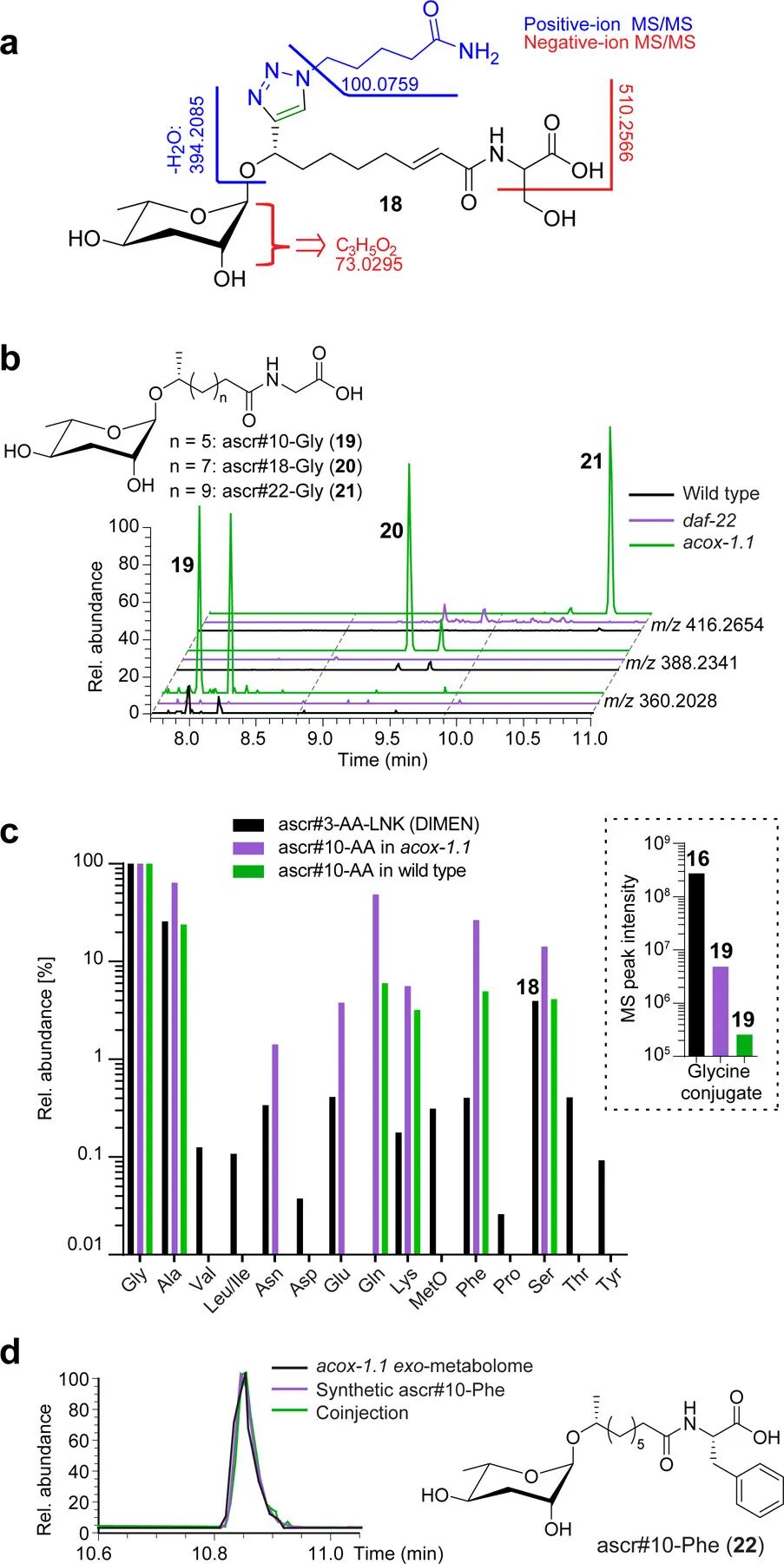 Deep Interrogation of Metabolism Using a Pathway-Targeted Click-Chemistry Approach