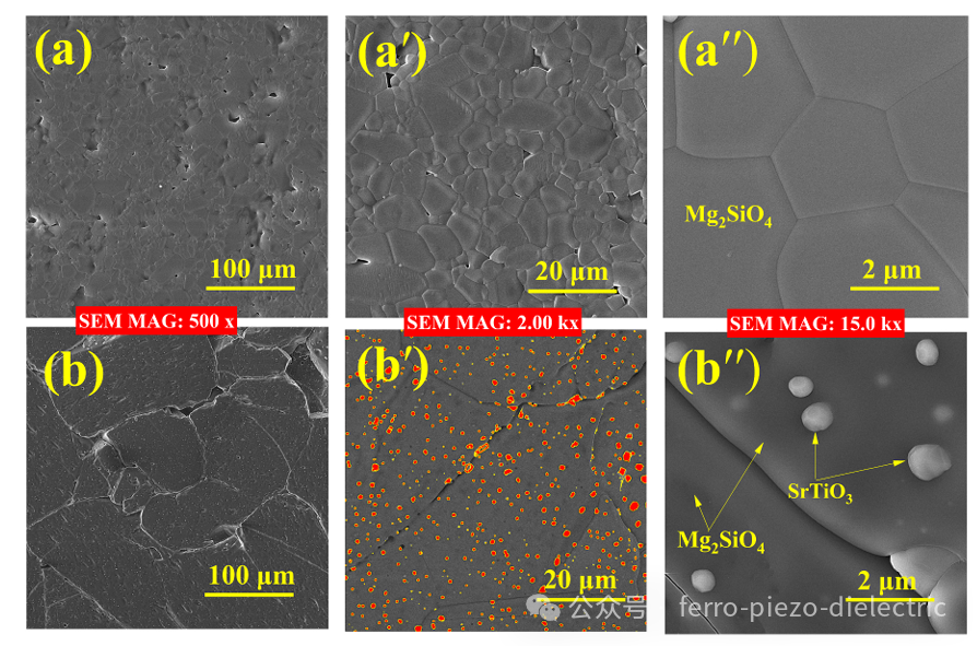 Impact of SrTiO3 Addition on the Microstructure and Dielectric Properties of Mg2SiO4 Ceramics for 5G/6G Applications