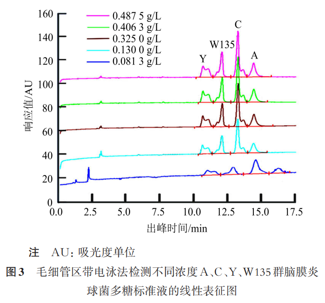 Determination of Polysaccharide Content and Molecular Size Distribution of A, C, Y, and W135 Group Meningococcal Polysaccharide Vaccine by Capillary Zone Electrophoresis