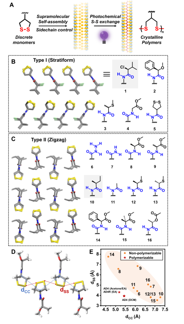 Single-Crystalline Poly(disulfide)s Enabled by Photo-Triggered Topochemical Ring-Opening Polymerization of 1,2-Dithiolane