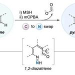 Skeletal Editing Strategy from Pyridine to Pyridazine by Sungwoo Hong at KAIST