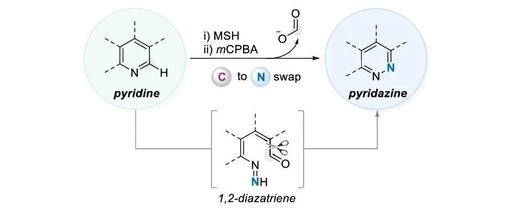 Skeletal Editing Strategy from Pyridine to Pyridazine by Sungwoo Hong at KAIST