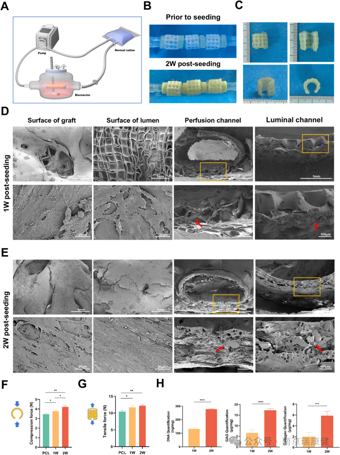 Article Sharing: 3D Printable Perfusable Microchannel Scaffolds