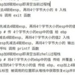 Definition and Usage of Localized Assembly Language Functions