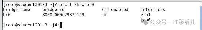 Building KVM Virtualization Network: Bridge Mode