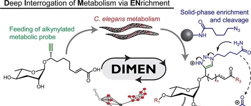 Deep Interrogation of Metabolism Using a Pathway-Targeted Click-Chemistry Approach