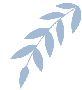 One-Click Generation of 18 Types of SCI-Level Research Graphs Using Python | A Comprehensive Guide from Beginner to Advanced Applications