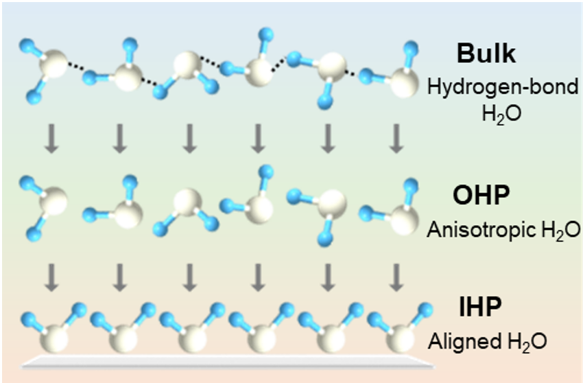 Multi-site Electrocatalysts for Hydrogen Production under Neutral Conditions: A Review by Professor Yu Ying from Central China Normal University