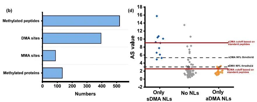Decoding Arginine Dimethylation Isomers via pH-Tuned Reactivity with Methylglyoxal: A Chemical Approach for Functional Proteomics