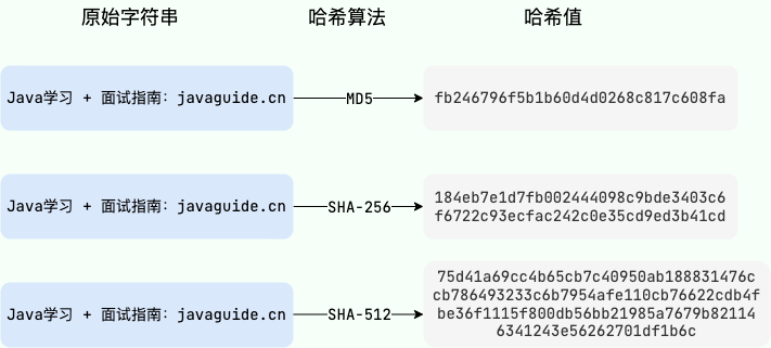 Password Security: A Comprehensive Overview of Common Encryption Algorithms