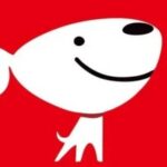 8 AI Toys with 90% Success Rate: Can JD.com's Cross-Industry Layout Become a New Growth Engine?
