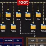 Understanding the /etc Directory in Linux Systems