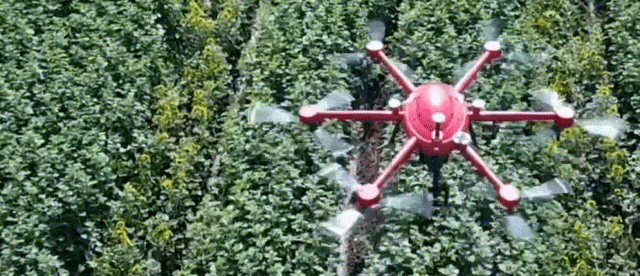 Utilizing Wind Data for Firefighting: A Case Study of Drones and Wind Sensors