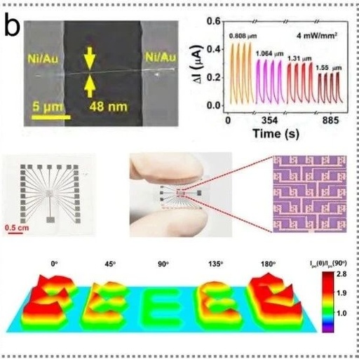 Frontiers: Advances in Research on Advanced Infrared Optoelectronic Sensors