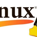 File Upload Commands in Linux: The rsync Command
