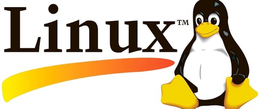 File Upload Commands in Linux: The rsync Command