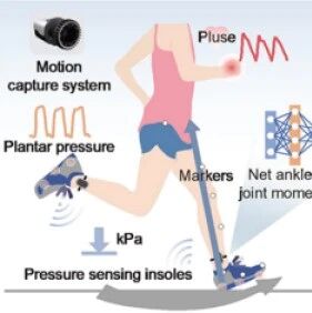 Research Progress on High-Linearity Flexible Skin Sensors