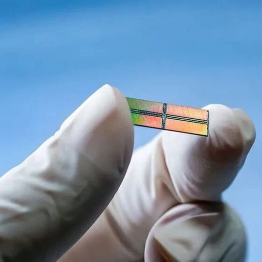 Amid Repeated Chip Bans, a Golden Investment Window for Chips