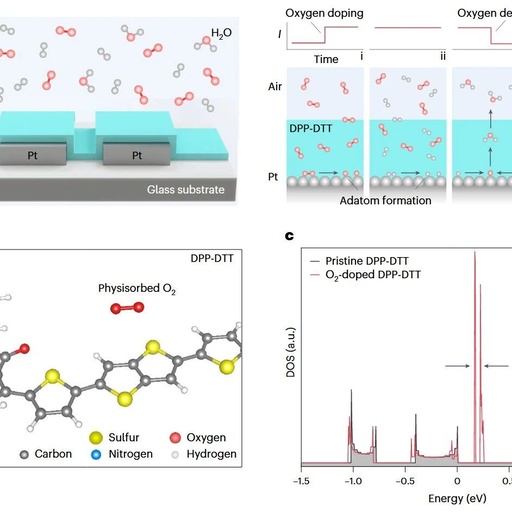 A Robust Organic Hydrogen Sensor for Distributed Monitoring Applications