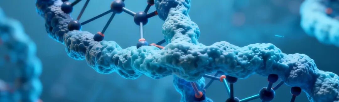 Breakthrough: Scientists Create Microrobots for Precise Drug Delivery Inside the Body, Ready for Human Clinical Trials