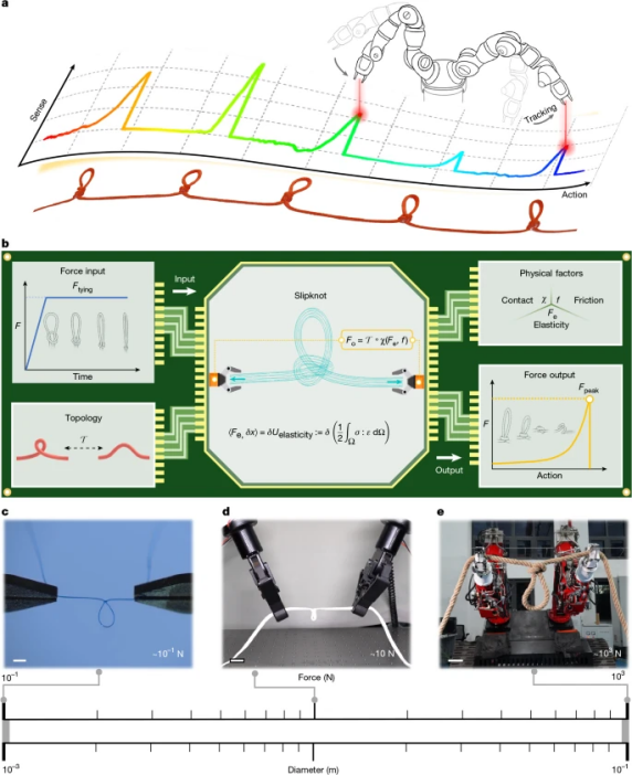 Precision Force Control in Robotics: A Knot Solution! Zhejiang University's Knot Technology Featured on the Cover of Nature! Endowing Robots with 'Muscle Memory'