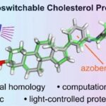 Development of Photoswitchable Cholesterol Derivatives through Side Chain Replacement