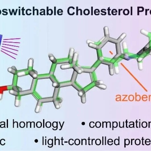 Development of Photoswitchable Cholesterol Derivatives through Side Chain Replacement
