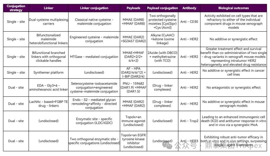 From Single Target to Multidimensional Breakthrough: The New Landscape and Strategic Evolution of Next-Generation ADC Drug Bioanalysis