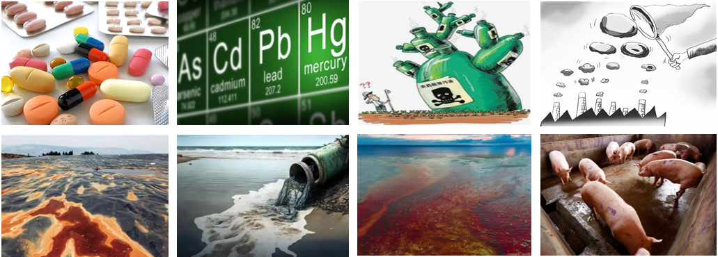 Compilation of Research Achievements (Second Batch) | Green Environmental Protection and Resource Recycling 1-3