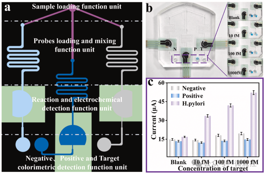 Development of a Dual-Mode Microfluidic Biosensor by China Pharmaceutical University for Highly Sensitive Detection of Helicobacter pylori Infection
