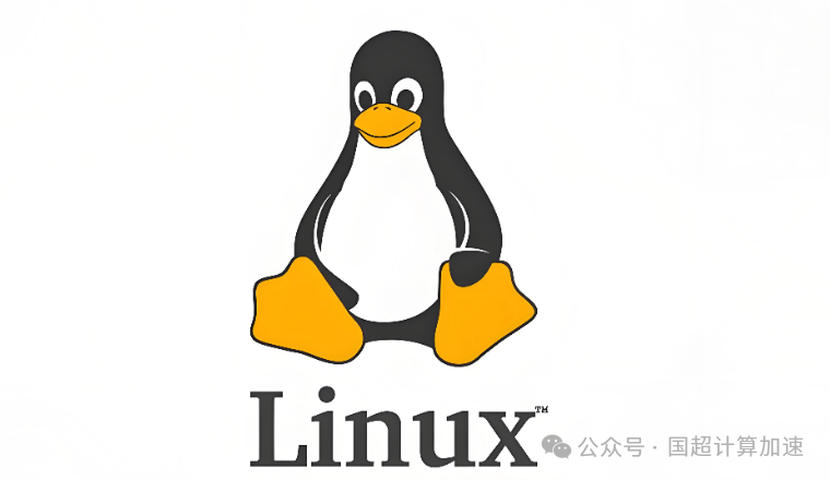 Introduction to Common Linux Commands
