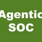 Segmentation of the AI SOP Market and Types of AI SOC
