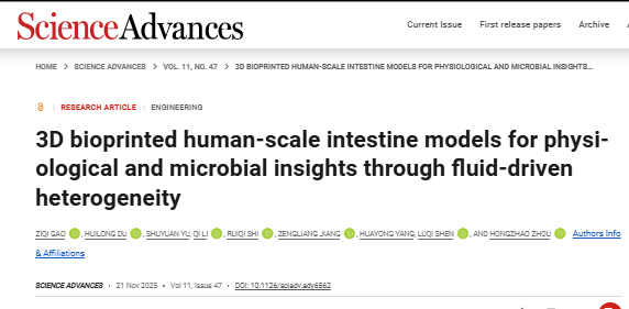 New 3D Bioprinting Technology for the Small Intestine Featured in Science Advances!