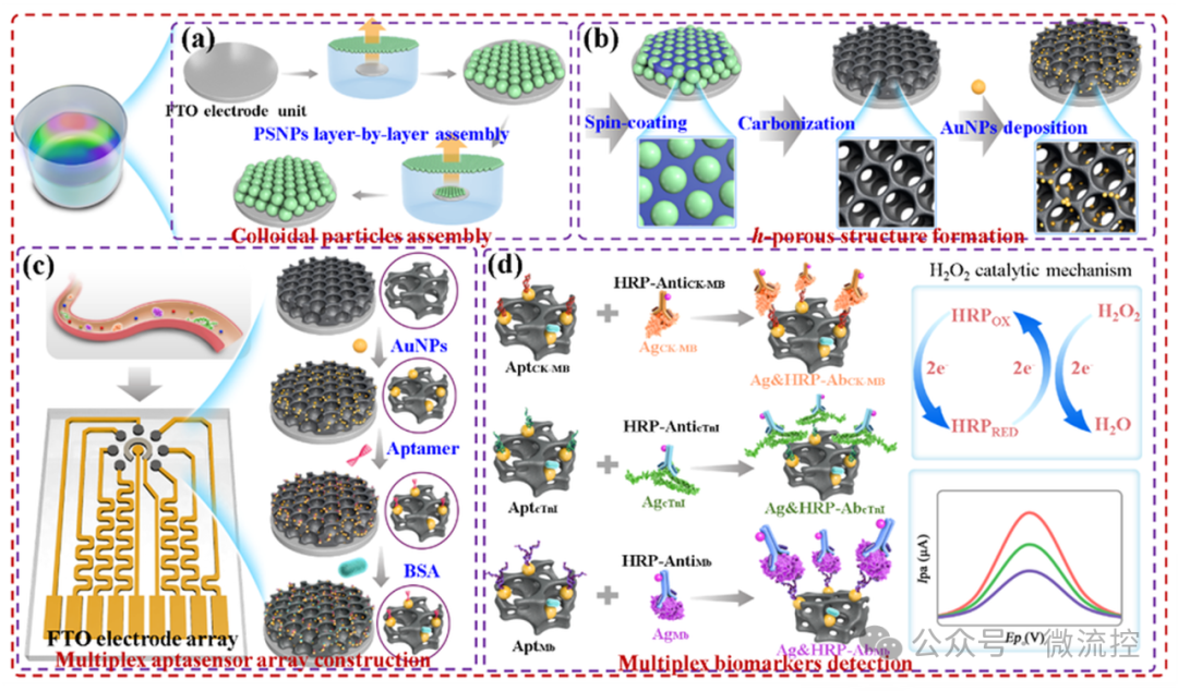 South China Normal University Develops Integrated Electrochemical Aptamer Sensor Array for Multi-Target Detection of Acute Myocardial Infarction