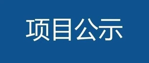 Effectiveness Evaluation Report of Soil Remediation Project for the BSP0-0103 Unit 0311-03 Plot in Gucun Large Residential Community, Baoshan District, Shanghai